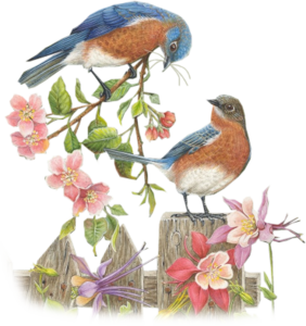 All About the Eastern Bluebird & More @ Cornell Cooperative Extension