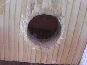 woodpecker renovations