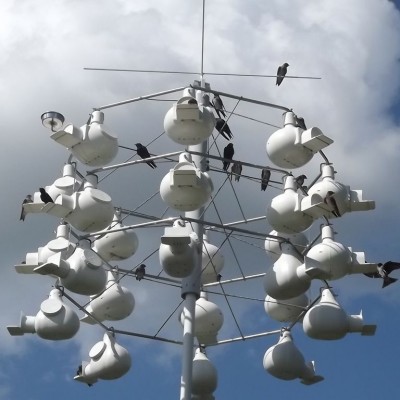 Purple Martin housing. Photo by Michael Mulqueen (*See notes)