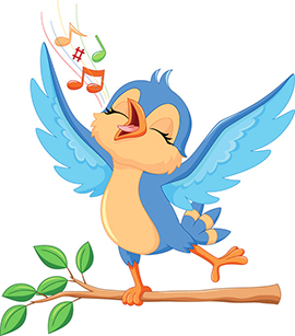 bluebird
