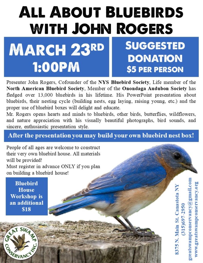 All About Bluebirds @ Great Swamp Conservancy