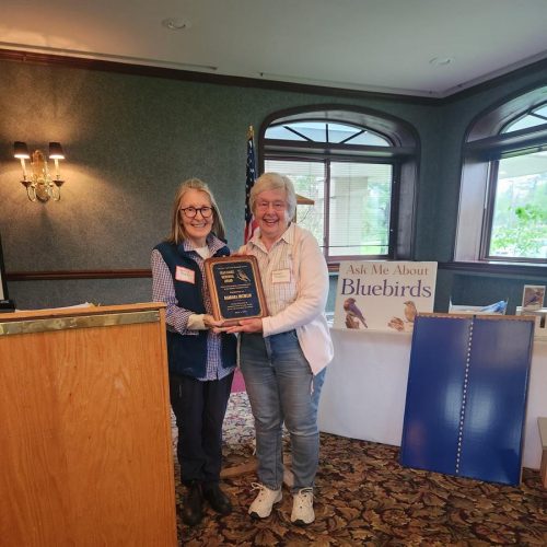 Barbara Michelin-Fran Hanes Memorial Award