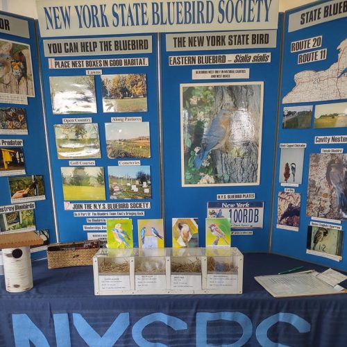 NYSBS Informational Display Board